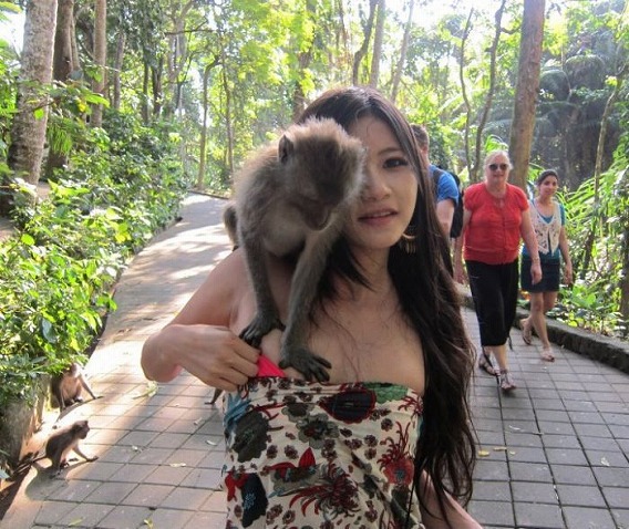 monkey_03