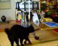 ����