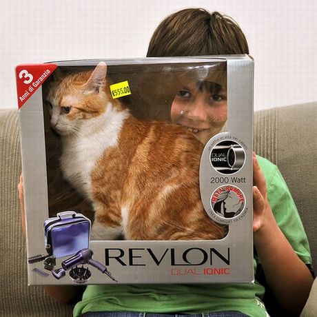 how_to_store_and_organize_cats_14