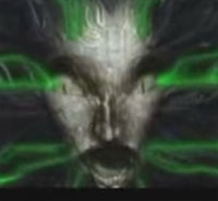 �ݤ�������