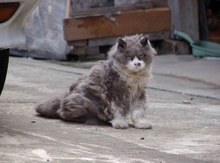 02