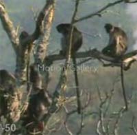 �����ޤ���