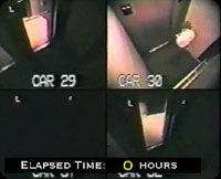 ����١�����