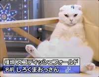 �����¤�