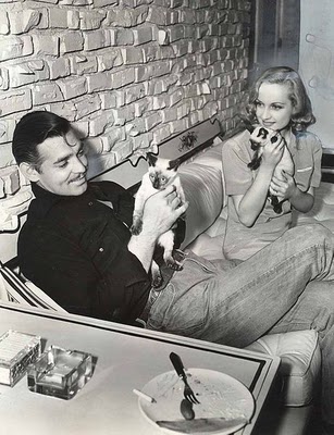 famous_people_and_their_cats_06