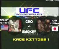 猫も大変なんだよ