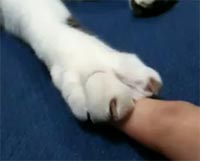 まあまあまあ