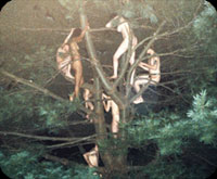 razoku