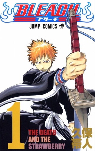 bleach1