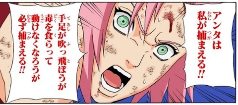 サクラ
