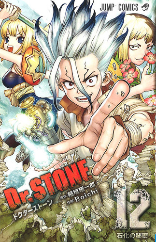 drstone012