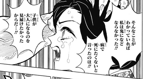 珠世2