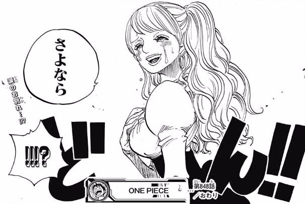 ワンピース 849話ネタバレ レイジュ 血まみれ 一体何が起きたのか 画像 最強ジャンプ放送局 ワンピース 849話ネタバレ レイジュ 血まみれ 一体何が起きたのか 画像 最強ジャンプ放送局