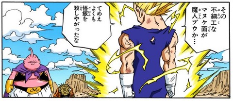 ベジータ (12)