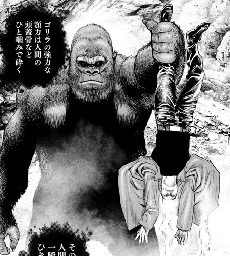 鬼龍-293