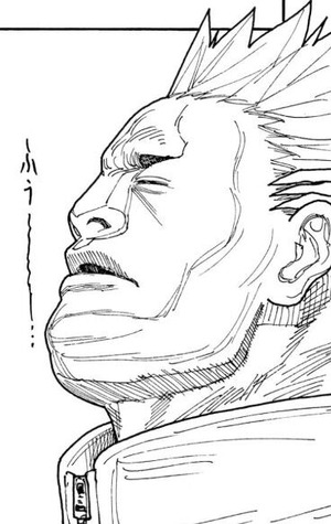 ベンジャミン-417