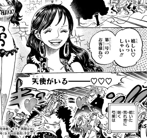 シャクヤク-1157