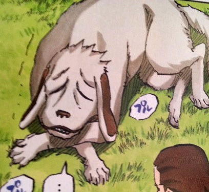 akamaru
