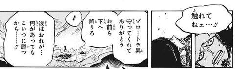 ゾロ2