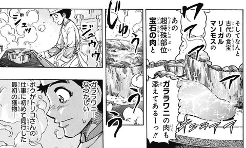 トリコ 最高級ワニ肉 ガララワニ 捕獲レベル5 これｗｗｗｗｗ 漫画まとめ うさちゃんねる