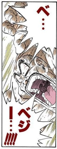 ナッパ (4)