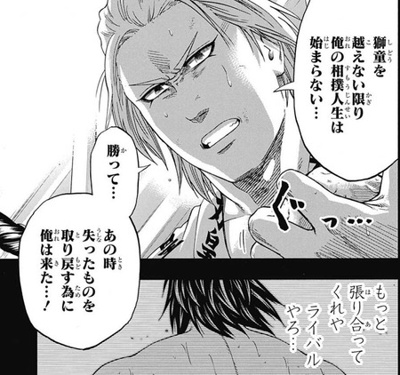 大包平2