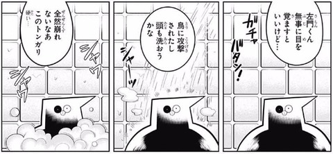 トンガリ (3)
