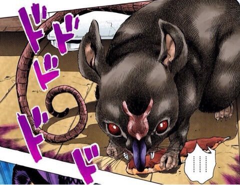 o0480036913295753285