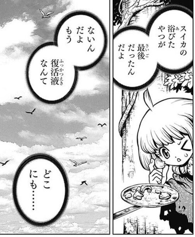 スイカ4