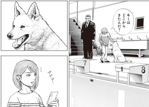 犬