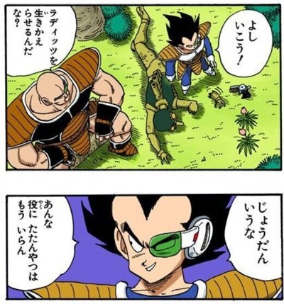 ナッパ2