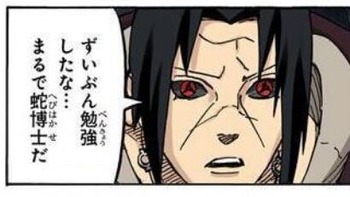 イタチ (5)