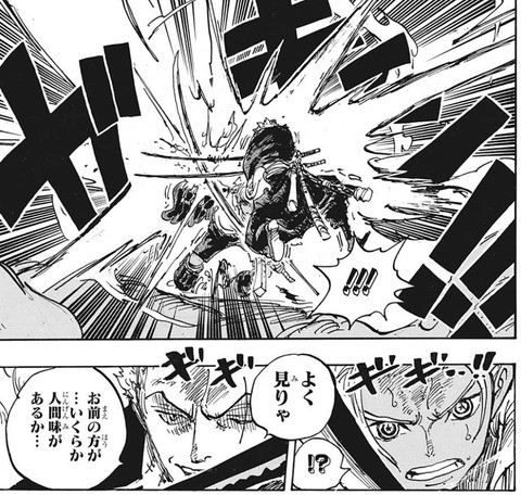 ゾロ-1073