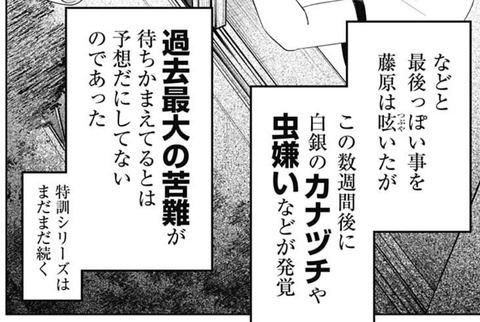 藤原