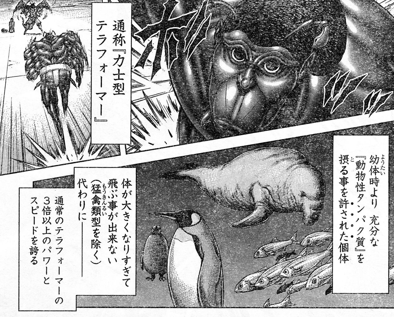 動物画像無料 上テラフォー マーズ 動物 動物画像無料 上テラフォー マーズ 動物