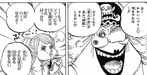 プリン (8)