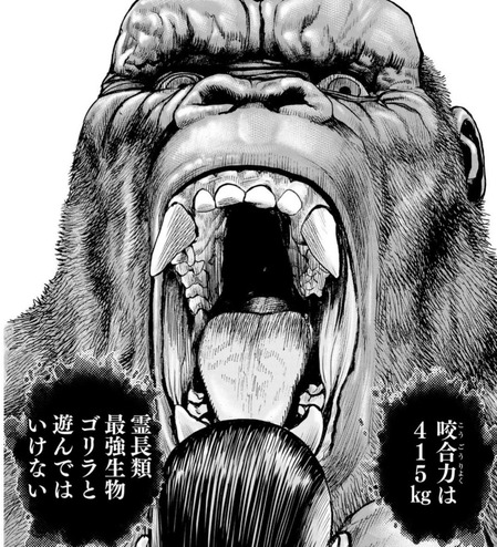 ゴリラ