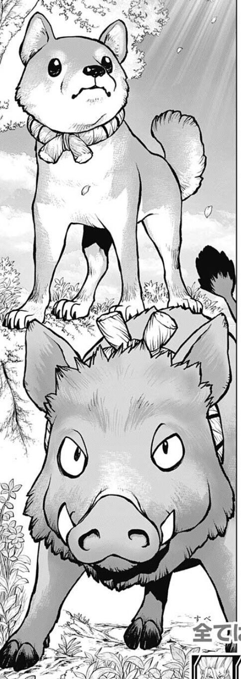 Dr Stone 193話感想 勝利か 敗北か スタンリーが選んだ答えは 最強ジャンプ放送局 Dr Stone 193話感想 勝利か 敗北か スタンリーが選んだ答えは 最強ジャンプ放送局
