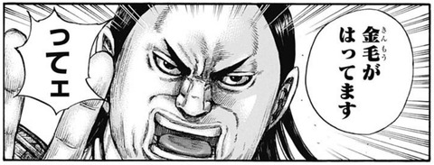 金毛