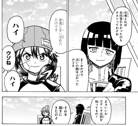 風子