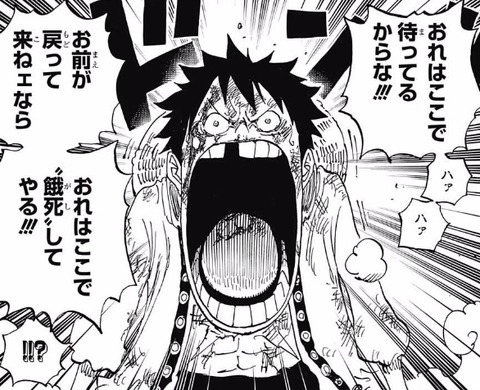 ルフィ (9)