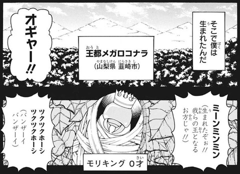 メガロコナラ