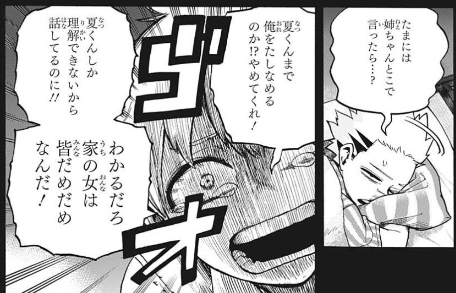 僕のヒーローアカデミア 302話感想 轟家 家族の絆で燈矢を止める事が出来るのか 最強ジャンプ放送局