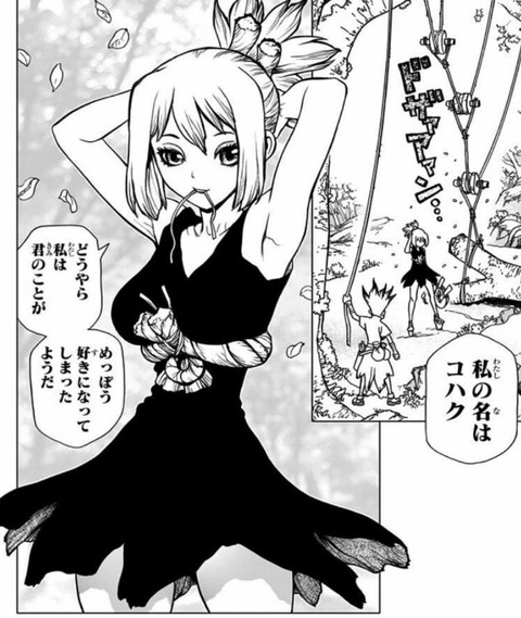 【Dr.STONE58話感想】石神村、ついに暖炉を手に入れる!!司帝国は酷い事になってそう・・・ 8633fd30 s - 【Dr.STONE58話感想】石神村、ついに暖炉を手に入れる!!司帝国は酷い事になってそう・・・