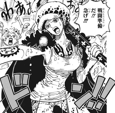 ロー-1063