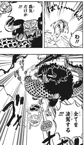 カイドウ (10)