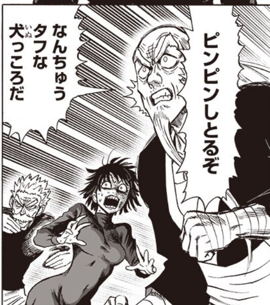 ワンパンマン 167話感想 サイタマ トロッココースターで大はしゃぎ いよいよ頂上決戦か 画族 ワンパンマン 167話感想 サイタマ トロッココースターで大はしゃぎ いよいよ頂上決戦か 画族