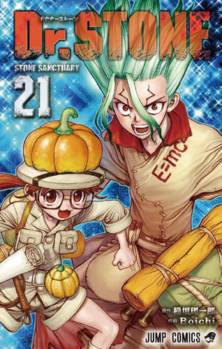 drstone021