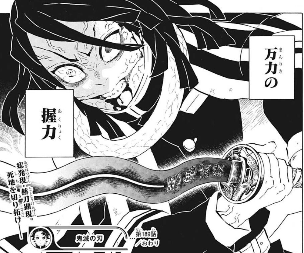 鬼滅の刃 1話感想 満身創痍の鬼殺隊に心強い仲間が参戦 画族 鬼滅の刃 1話感想 満身創痍の鬼殺隊に心強い仲間が参戦 画族
