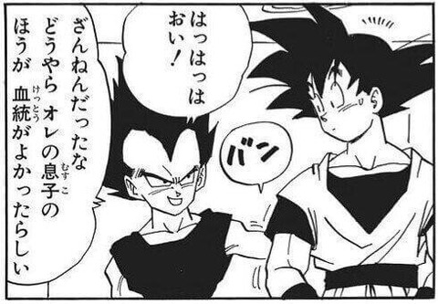 ベジータ (14)